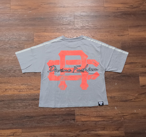 Grey Divine Fashion Boxy T-Shirt